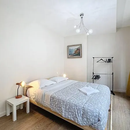F2 Confort Hyper Cenrtre St Rose Apartment