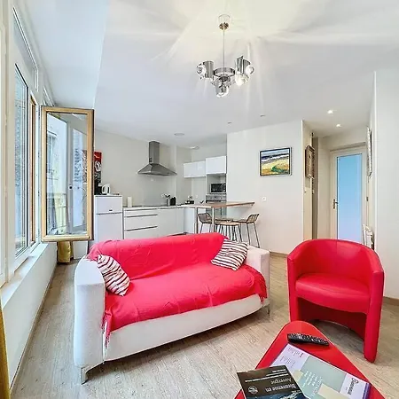 F2 Confort Hyper Cenrtre St Rose Apartment *