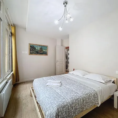 F2 Confort Hyper Cenrtre St Rose Apartment