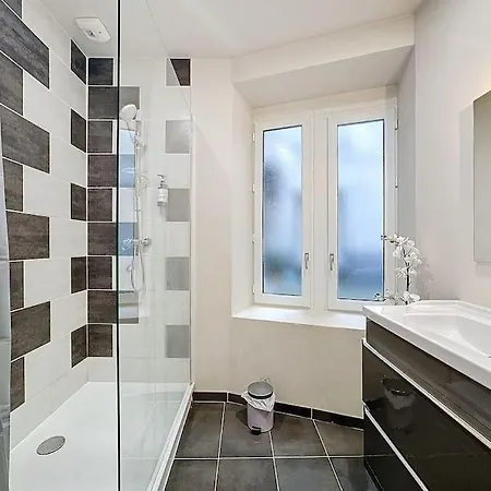 F2 Confort Hyper Cenrtre St Rose Apartment *